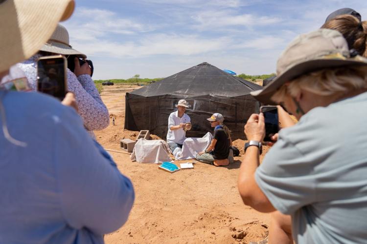 Wildlife experts work to burrowing owls