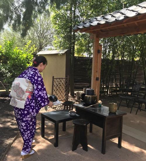 Festival, activities and kid stuff