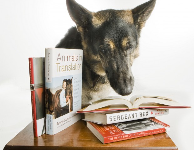 Dogs have their day at book fest    