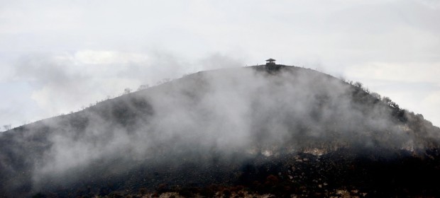 Burned-over park starts comeback   