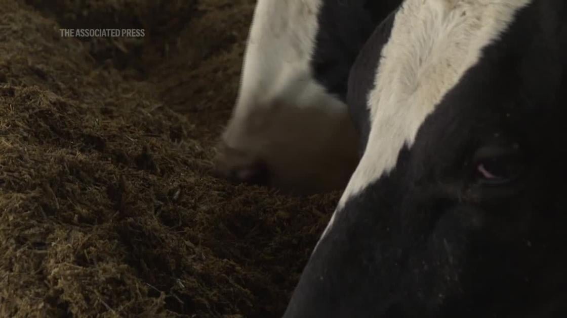 Nitrate pollution, agriculture’s persistent problem, expected to worsen with warming winters