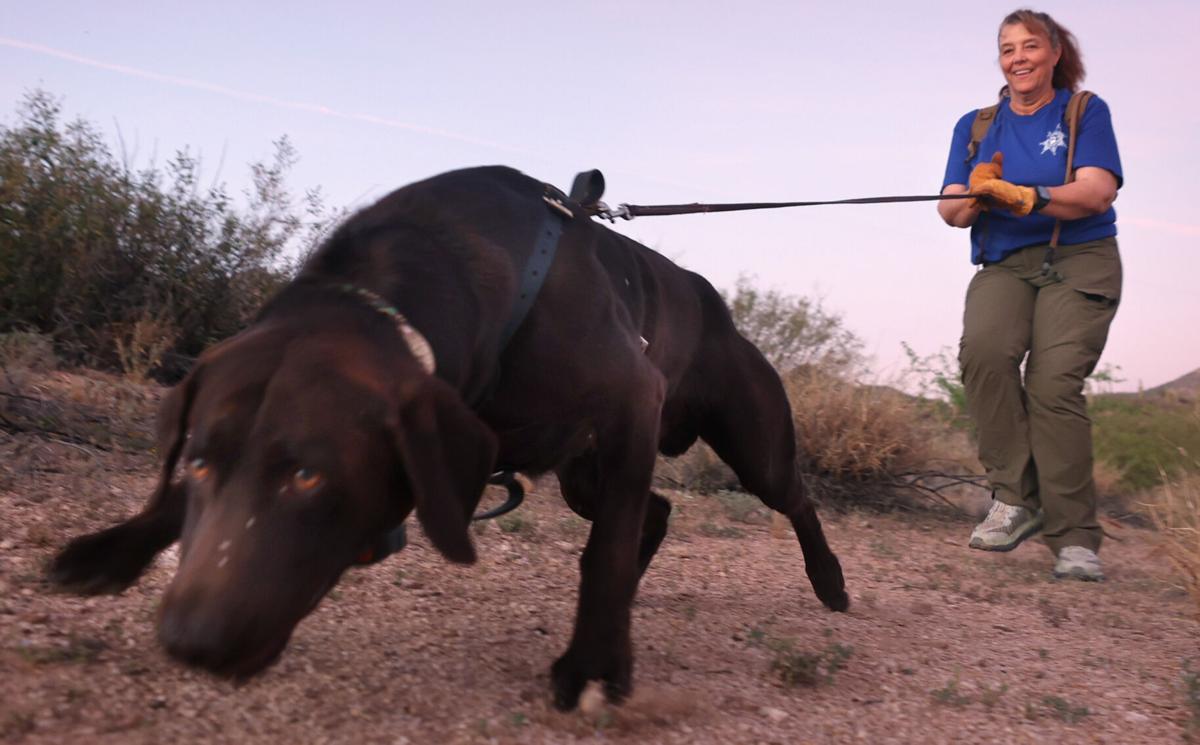 Tucson volunteers train their dogs to be heroes