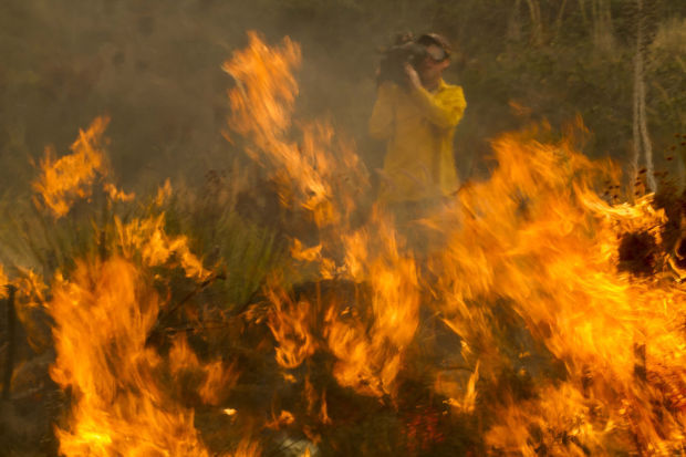 California wildfires