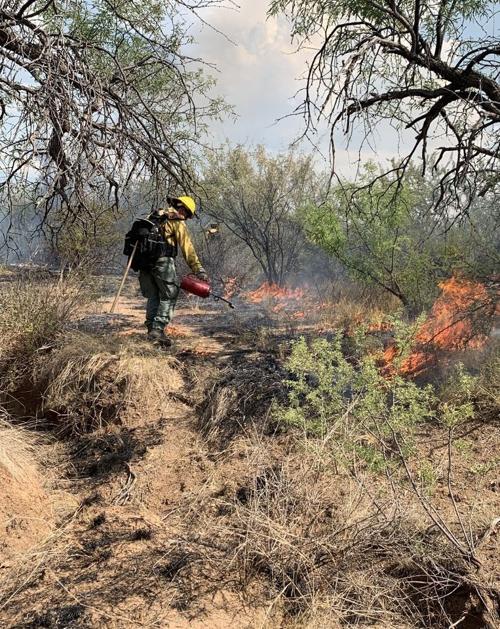 A State Forestry Department crewmember working the Bowl Creek Fire