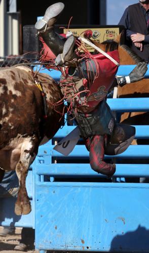 Tucson Rodeo
