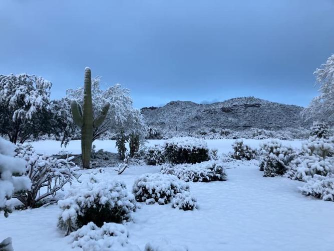 A bunch of photos of today's snow across Tucson ️💕 tucson life