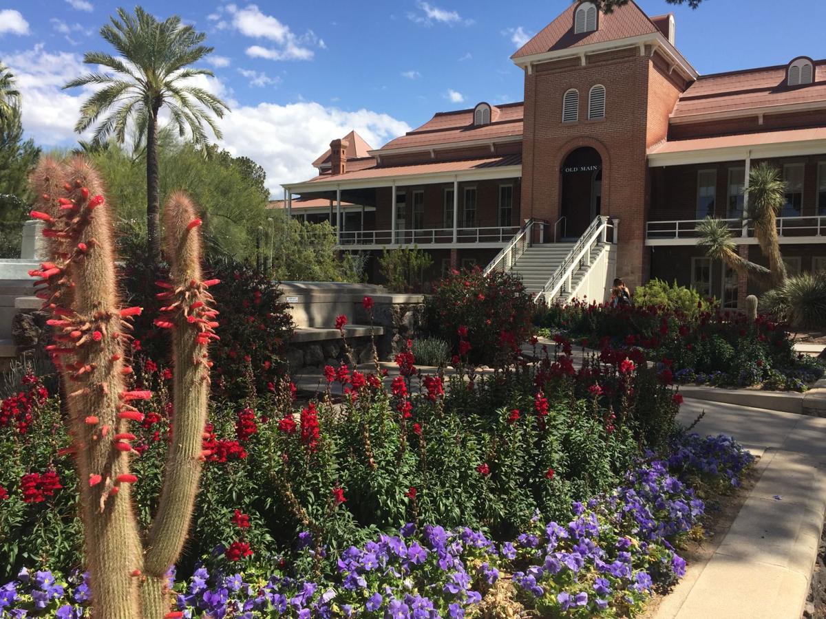 Tucson is blooming! 7 Instaworthy spots to stop and smell the flowers