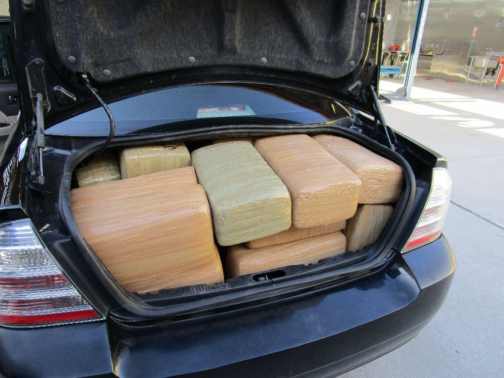 Border bust