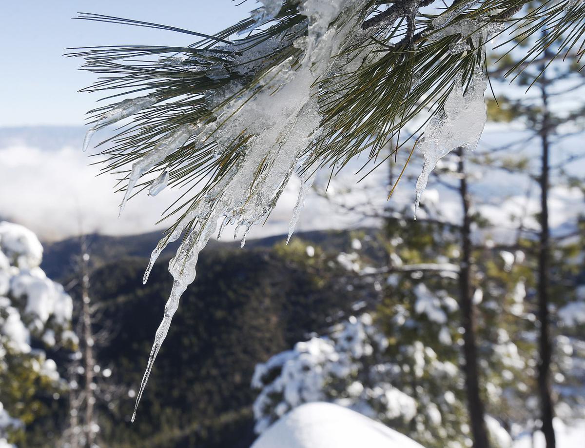 Photos Snow on Mt. Lemmon