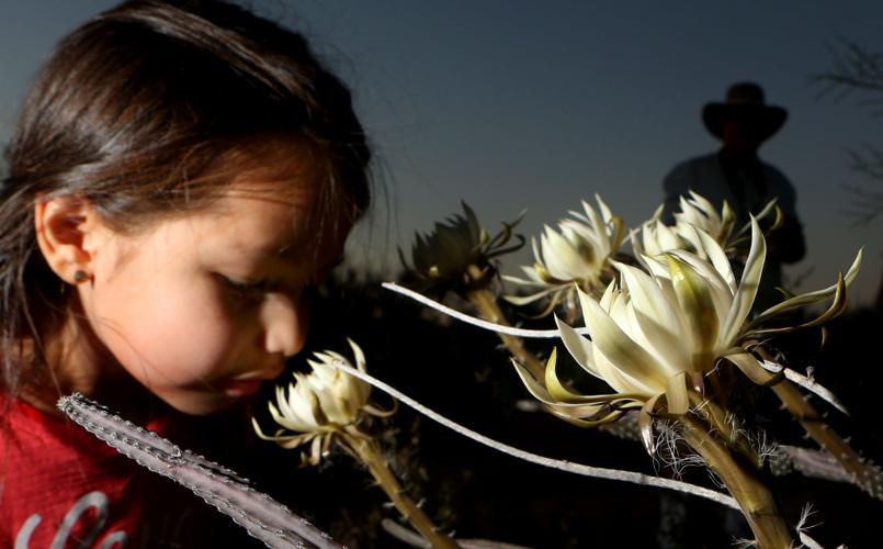 Photography by Kelly Presnell