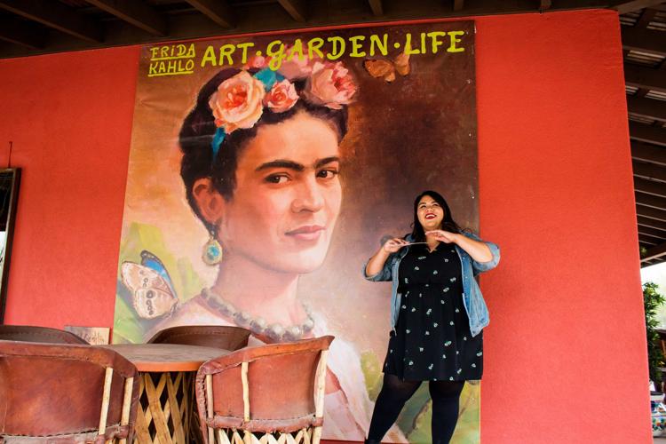 Cat Mountain Lodge and Roadside Inn