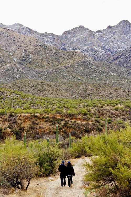 Catalina Park hikers