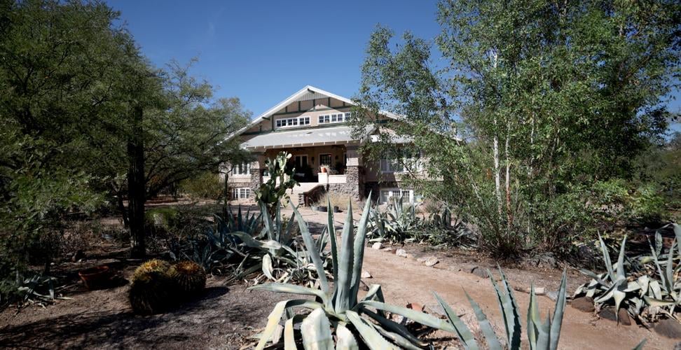 Annie Lester homes