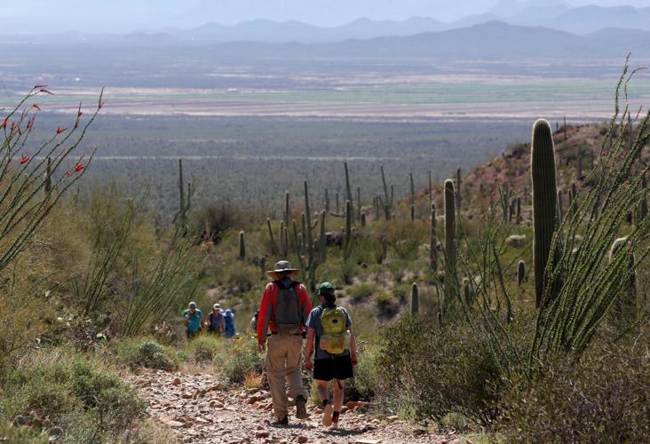 Tucson's economy should fare relatively well if recession hits