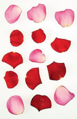 All-purpose flower  