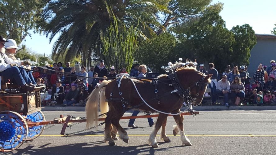 2017 Tucson Rodeo Parade entries