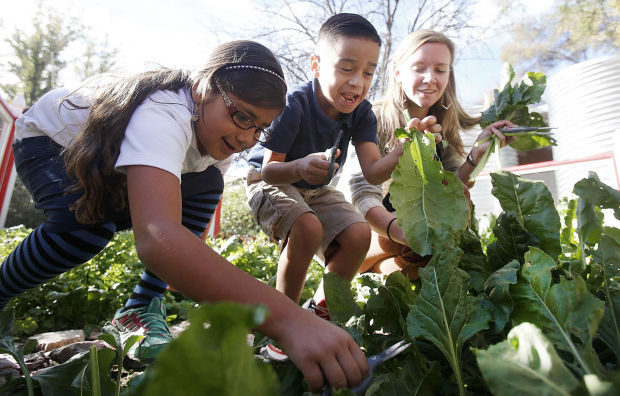 Manzo Elementary garden program