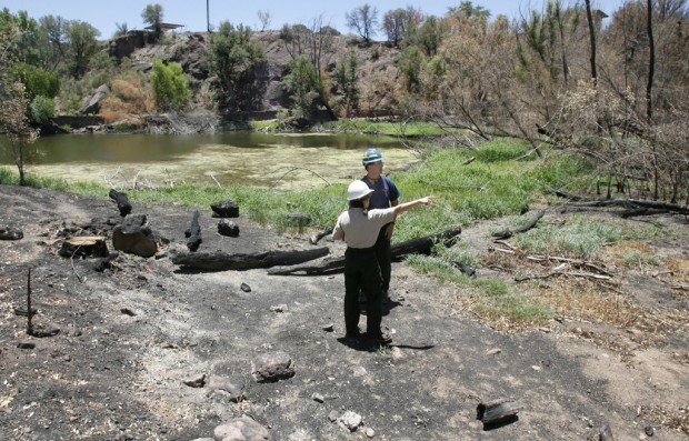 Mountains themselves seem to be on the move   