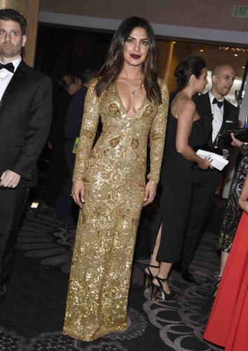 The 74th Annual Golden Globe Awards - Audience