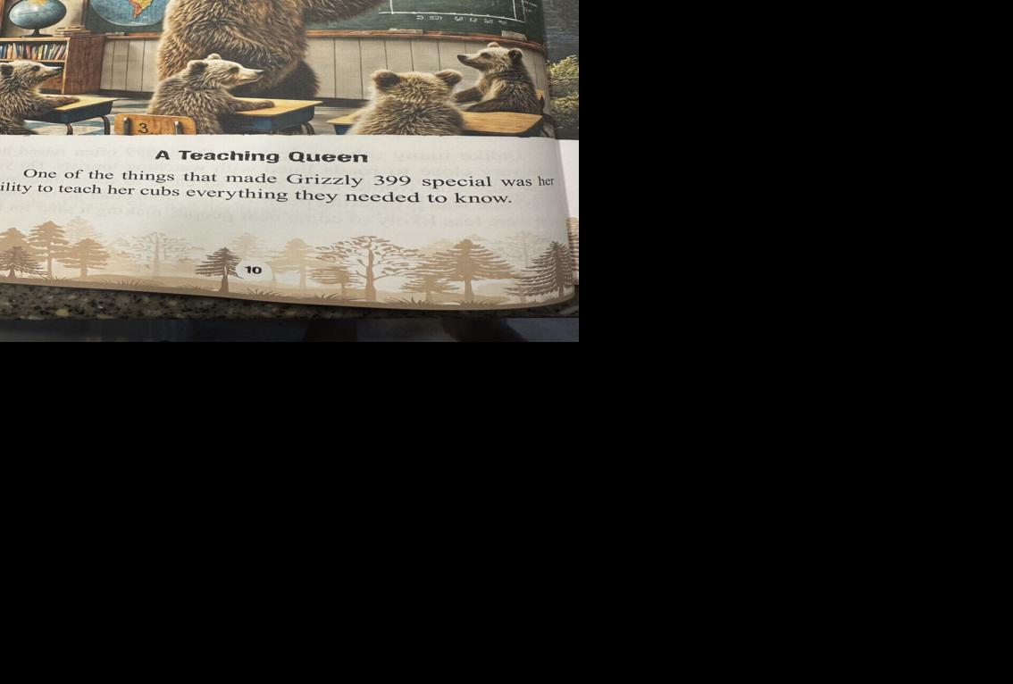 Smarter than the average bear