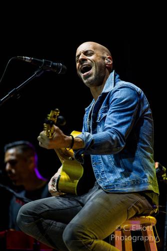 Daughtry