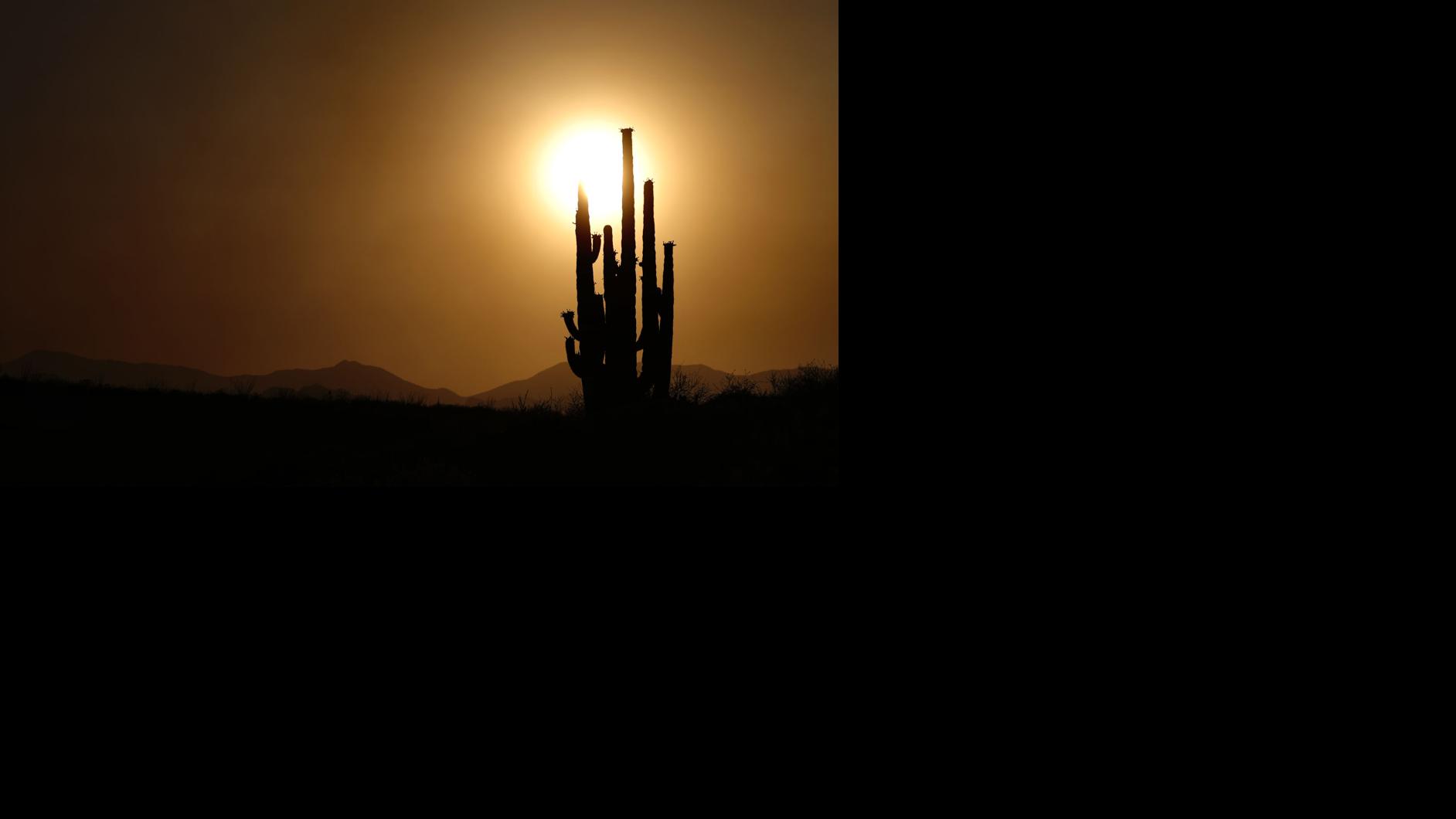 Photos The Bighorn Fire In Coronado National Forest Near Tucson Local News Tucson Com