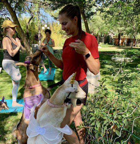 Goat yoga Emily Haddon