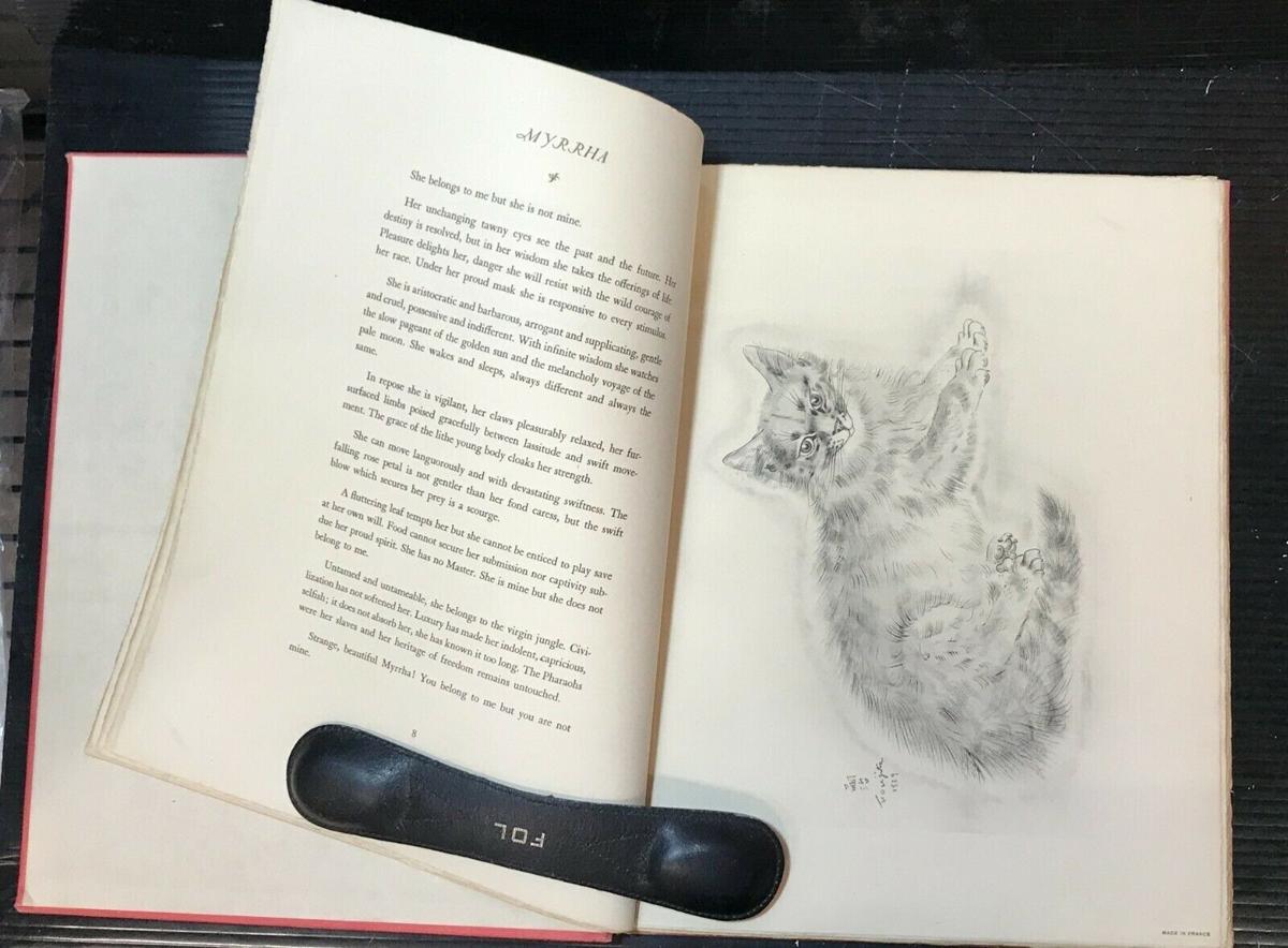 Book about cats fetches  $11,000 for Tucson library boosters