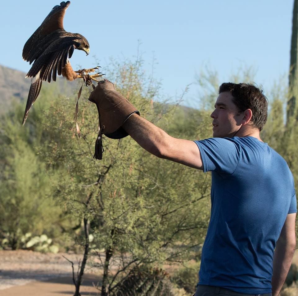 Falconers Will Bring Their Trained Birds Of Prey To Tucson