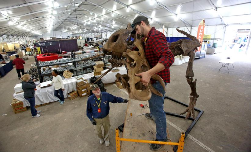 2019 Tucson Gem, Mineral and Fossil Showcase