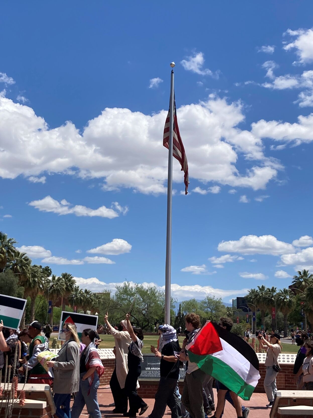 Protesters carry flags past USS Arizona memorial