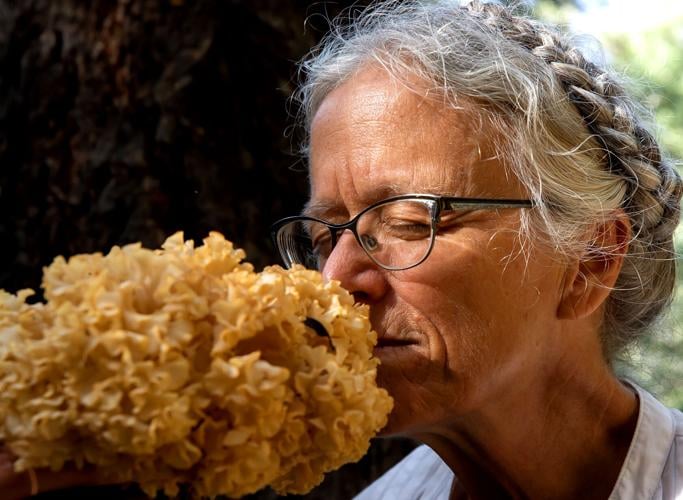Janet sniffing the cauliflower mushroom