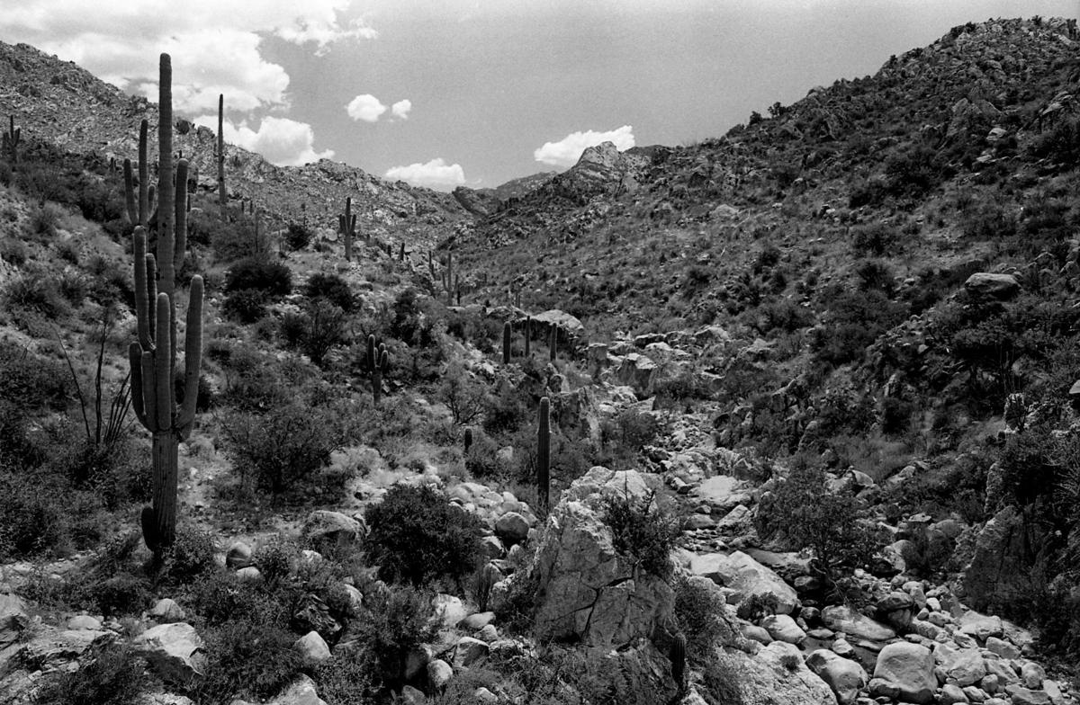 Rancho Romero (Catalina State Park)