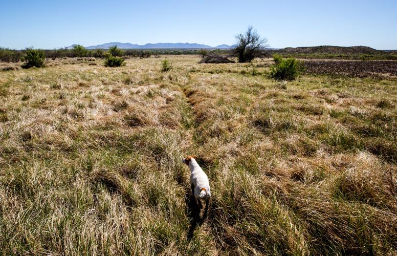 Villages at Vigneto, 2019