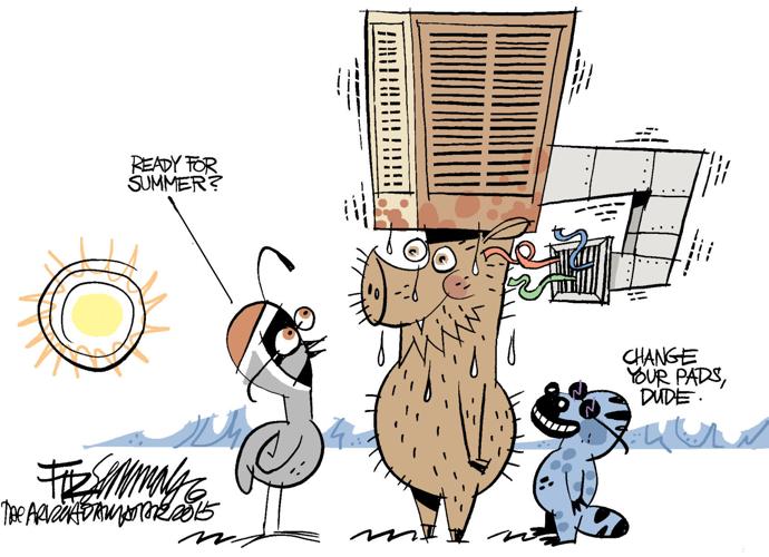 Last Laugh: Swampbox