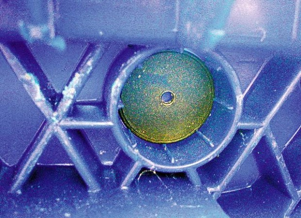 Garbage 'bugs' bugging Brits  