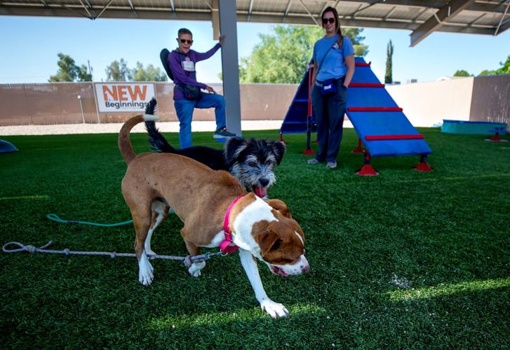Humane Society Canine Behavior Team