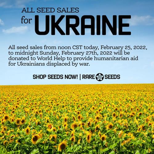 Baker Creek Ukraine