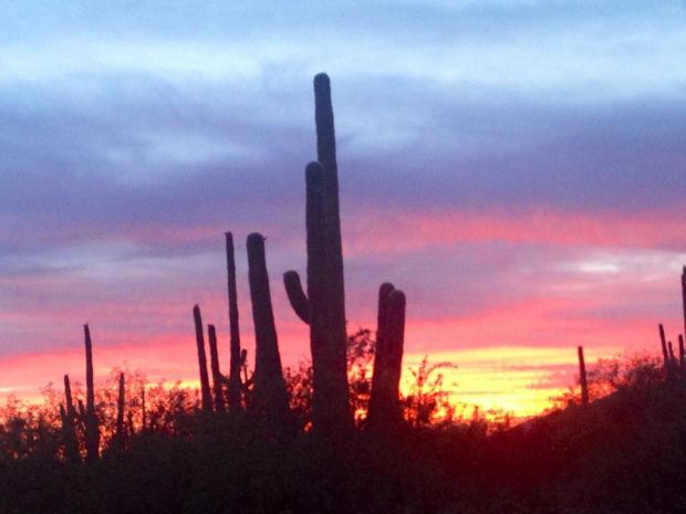 Tucson sunset