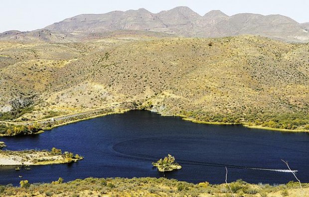 Sonoita Creek State Natural Area: Solitude  