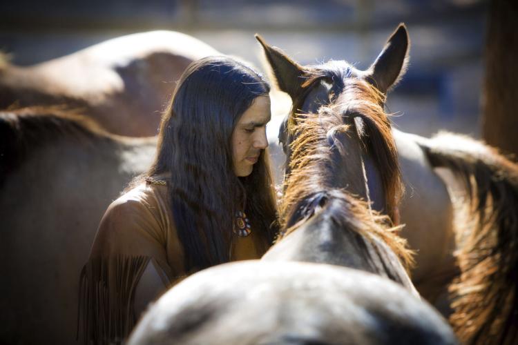 Horses Arrival American West
