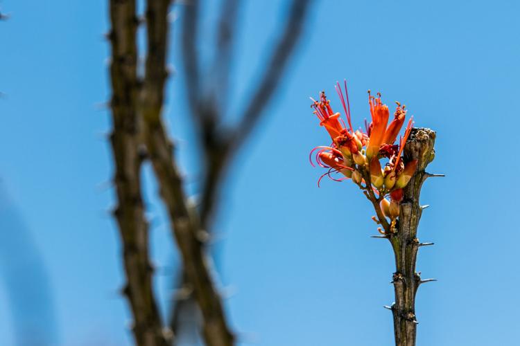 Esmond Station Regional Park