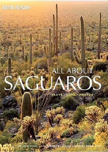 Cactus: Saguaro illustrated  