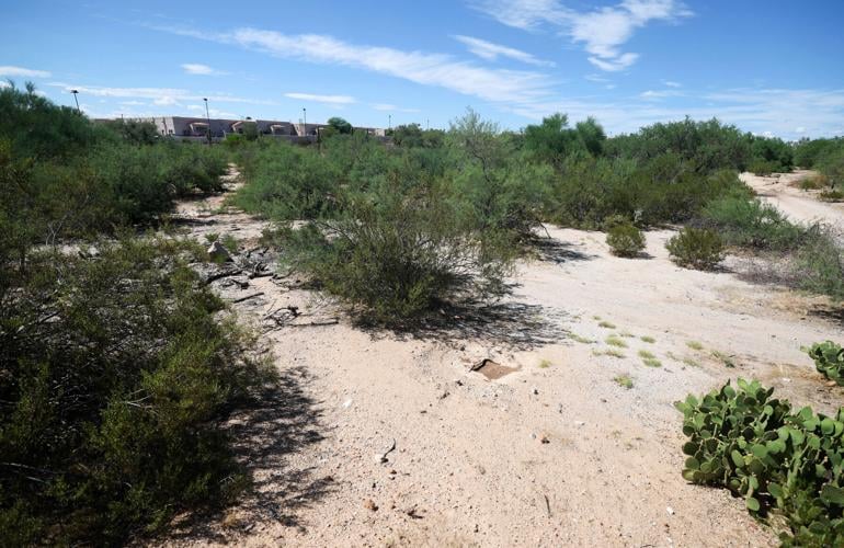 Sonora Behavioral Health Hospital