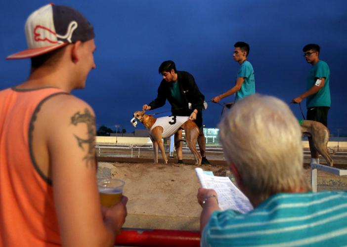Last race at Tucson Greyhound Park