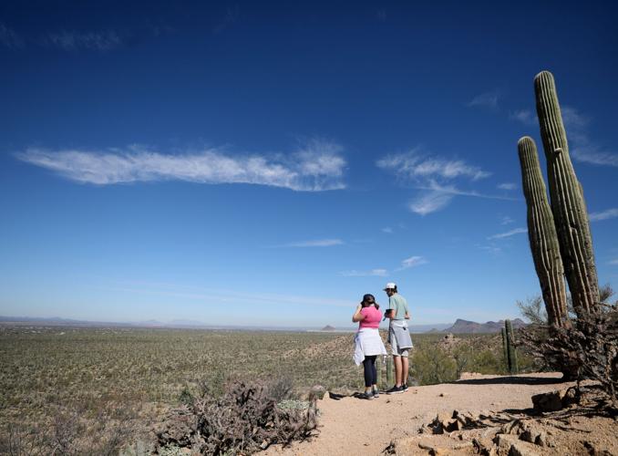 Saguaro National Park West