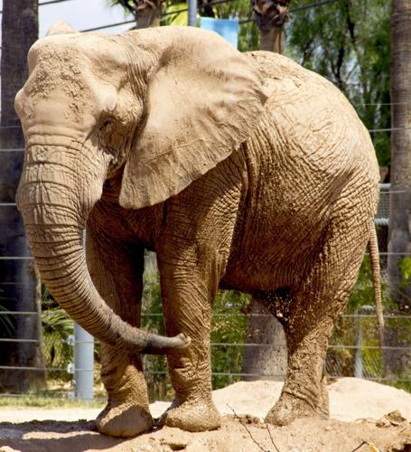 20 LE G SOCIALES P11