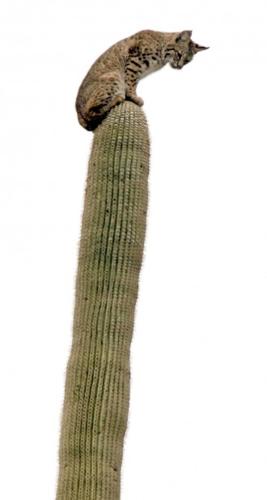 For this Manhattanite, wildlife here is nothing short of amazing    