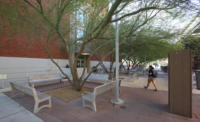 University of Arizona campus, 2016