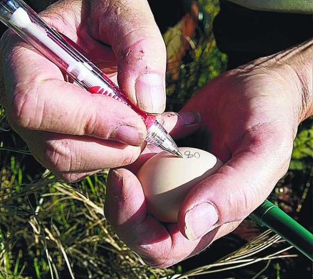 Study begins on how mercury accumulates in Great Salt Lake  